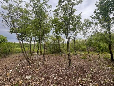 ISTRIA, LABIN - Building land with a view of nature