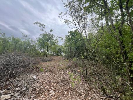 ISTRIA, LABIN - Building land with a view of nature