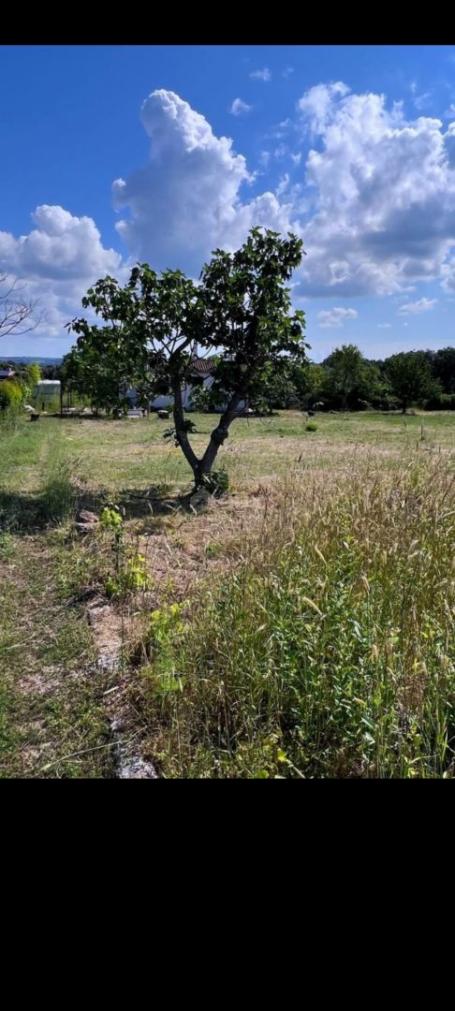 ISTRIEN, ŠTINJAN – Ausgezeichnetes Grundstück in einem ruhigen Teil des Dorfes