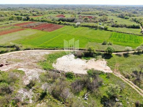 Barban, okolica, građevinsko zemljište na lijepoj lokaciji