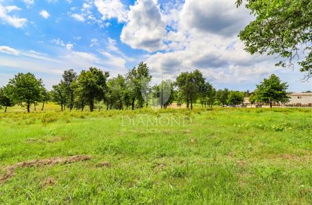 Poreč, surroundings, building land for building a house!