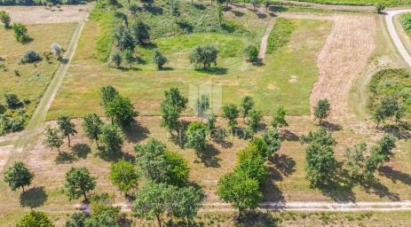 Poreč, surroundings, 4 plots for building houses!