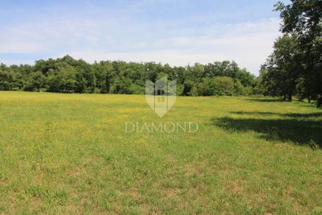 Žminj, spacious building plot with building