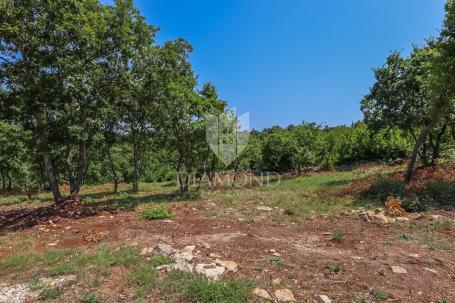 Spacious land in a quiet location near Svetvinčent