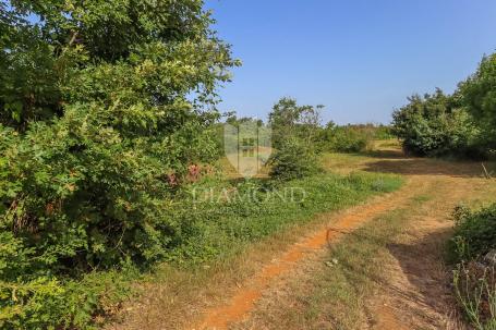 Spacious land in a quiet place not far from Svetvinčent