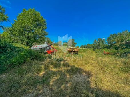 Motovun-Gebiet, Grundstück in ruhiger Lage