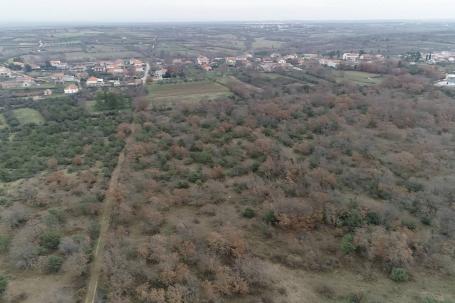 Zadar, Briševo, građevinsko zemljište površine 7343 m2