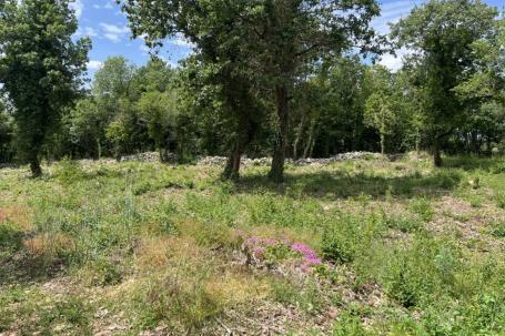 Sv. Lovreč, Heraki, građevinsko zemljište 1350 m2, blizina Limskog kanala