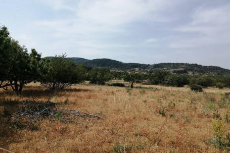 Brač, poljoprivredno zemljište u unutrašnjosti otoka (12 860 m2)