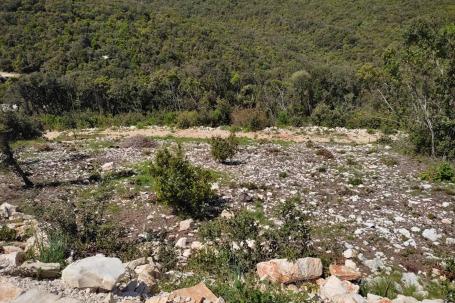 Peruški, poljoprivredno zemljište 597 m2, 150 m od mora