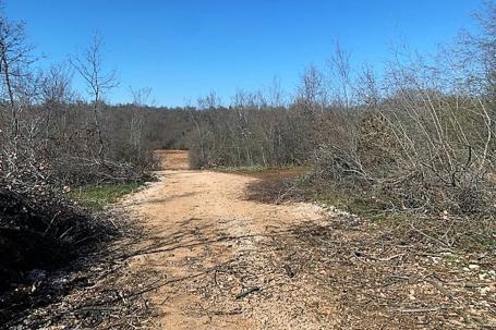 Istra, Poreč, poljoprivredno zemljište 