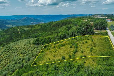 Istra, zemljište 5. 800 m2 s panoramskim pogledom na Motovun i pravomoćnom građevinskom dozvolom