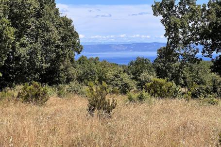 Istra, Peruški - 1071 m2 parcele, POGLED NA MORE