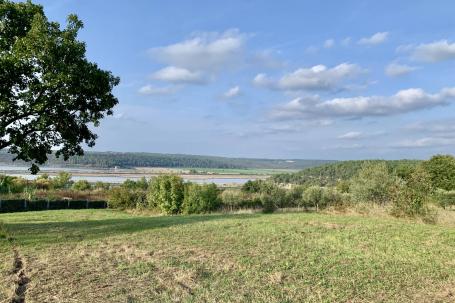 Istra, Tar - građevinsko zemljište 1. red do mora sa panoramskim pogledom