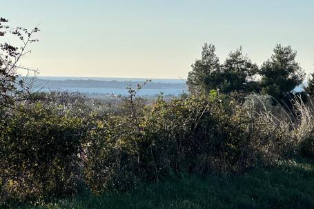 Istra, Vodnjan, građevinsko zemljište 1700 m2 pogled na Brijune