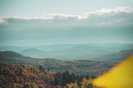 Istra, Buzet, predivno zemljište površine 139. 055 m2