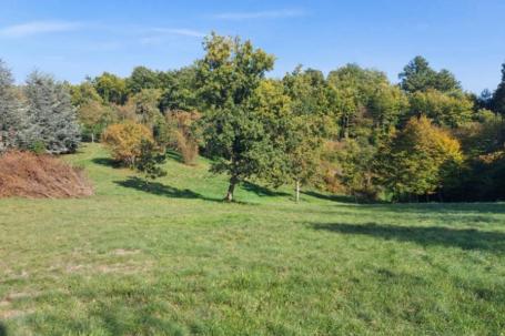 Istra, Trošti / Zabrežani građevinsko zemljište s infrastrukturom ( više zamljišta u ponudi ) 