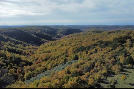 Istra, Momjan - zemljište 4137m2 od kojih je 1871m2 građevinsko