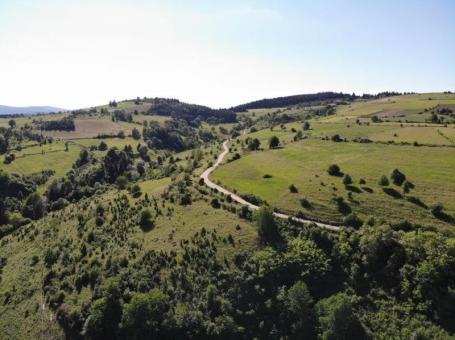 Prodaje se poljoprivredno zemljište 11028 m2, Gujanička mala, Nova Varoš