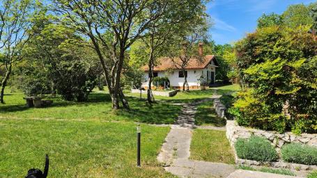 Istria, Šumber - House with 2100 m2 garden