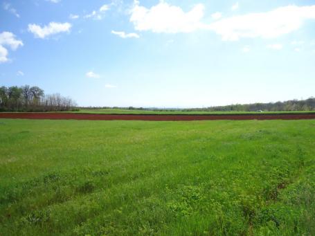 Landwirtschaftliches Grundstück mit Meerblick