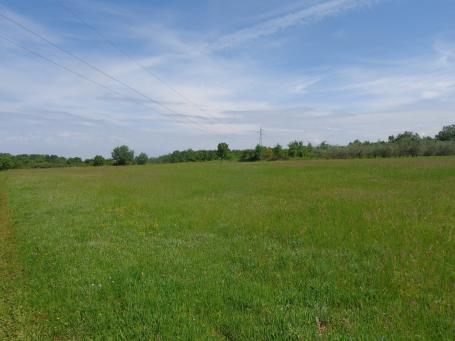 Big Agricultural land