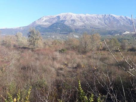 Land for sale in Kotor