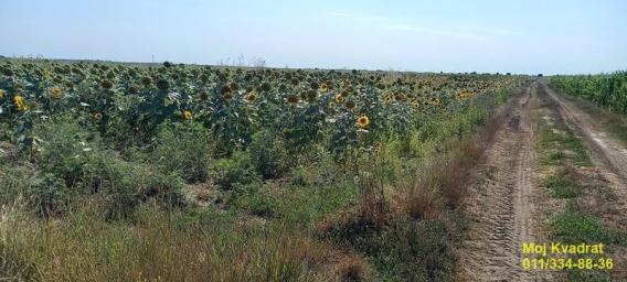 Zemun, Ugrinovci - Busije, 564. 66a