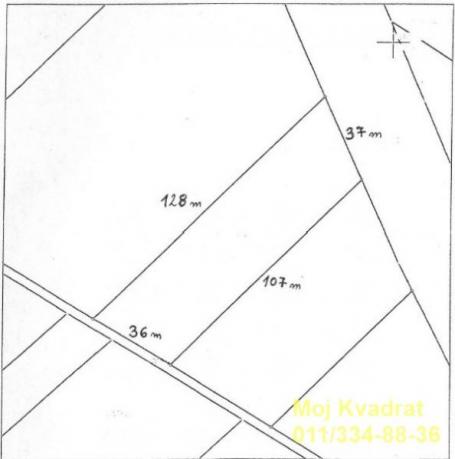 Surčin - Tabla, 49ari