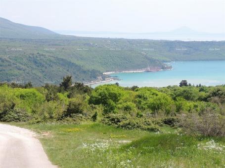 Građevinsko zemljište PUNTERA građevinski teren. 