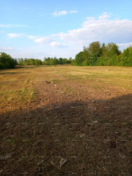 Building land Building plot, Žitnjak