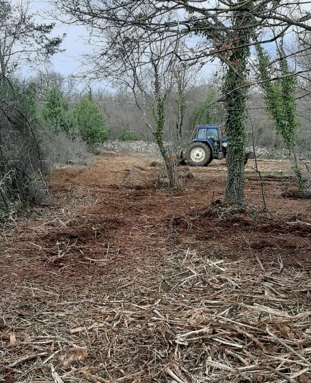 Agricultural land