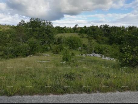 Građevinsko zemljište Prodaje se građevinsko zemljište u Loborici, površine 976 m2. 