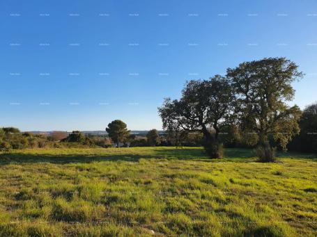 Agricultural land Sale of agricultural land, Pula, Montešerpo