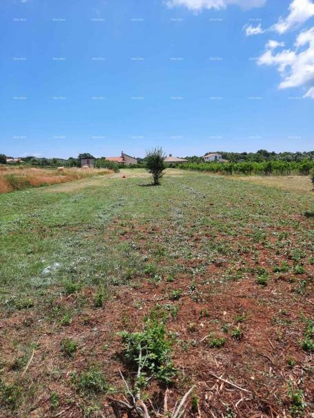 Building land Sale of construction land, Muntić