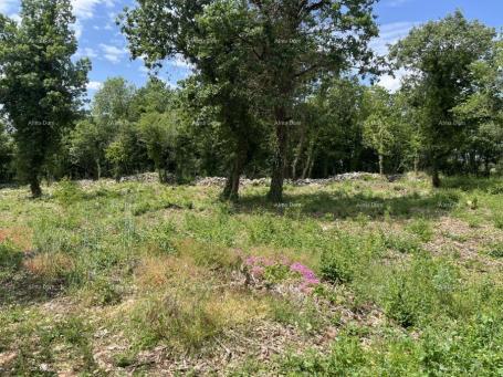 Building land Attractive building plot for sale, Sveti Lovreč