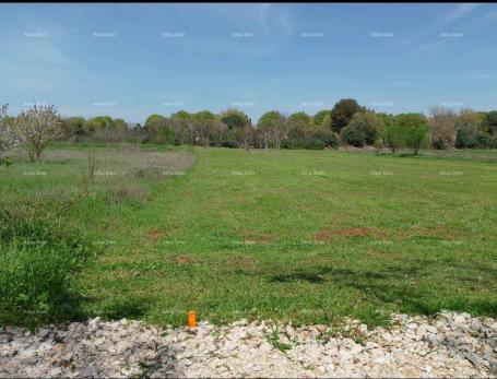 Agricultural land