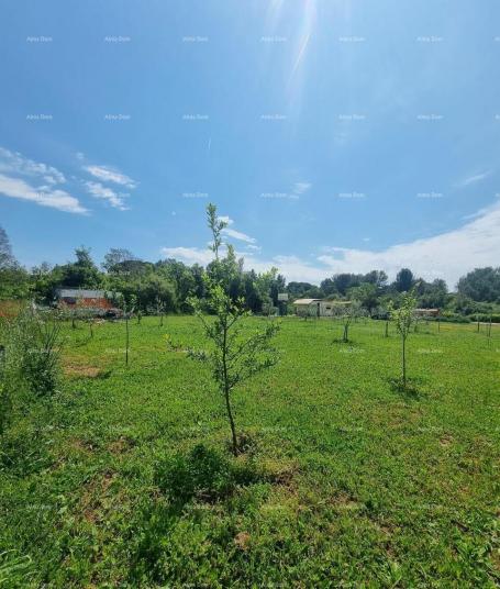 Agricultural land Agricultural land for sale in Valbandon