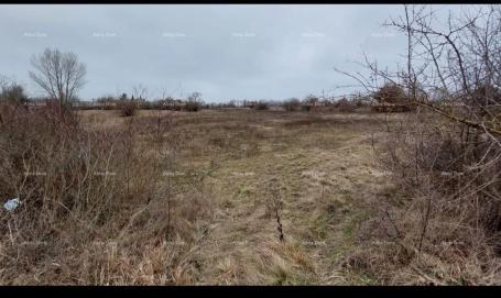 Building land Land for sale, Žminj