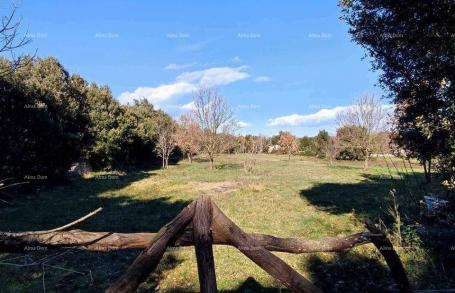 Agricultural land An agricultural plot for sale, surface area 3143 m2, in Šišan