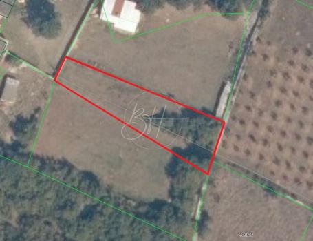 Land Vodnjan, 1.006m2