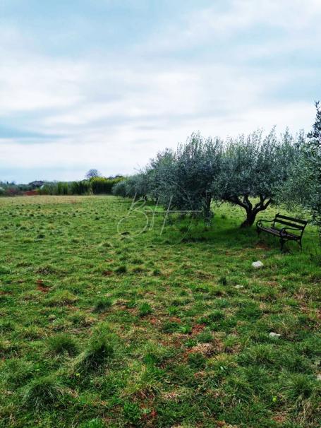 Grundstück Murine, Umag, 1.367m2