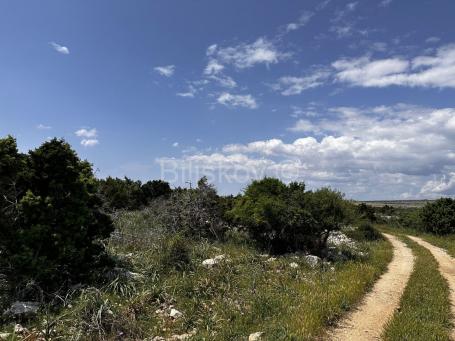 Prodaja, poljoprivredno zemljište, otok Pag 83. 000 m2