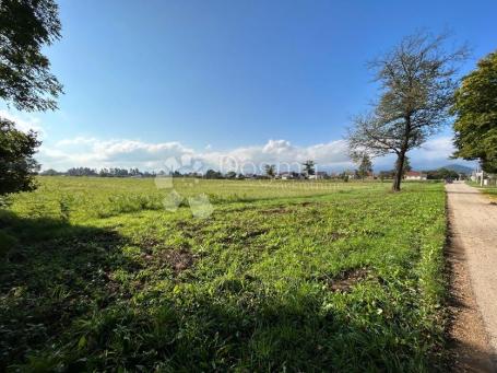 GRAĐE. ZEMLJIŠTE 16000m2 - cijelo/pola/trećina/ PRILIKA