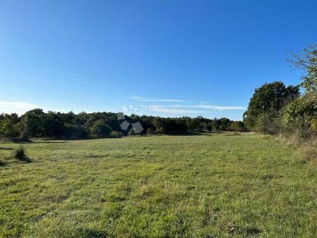 Land Krnica, Marčana, 7.664m2