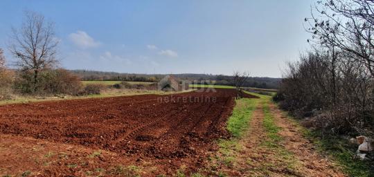 Land Sveti Ivan, Višnjan, 2.200m2