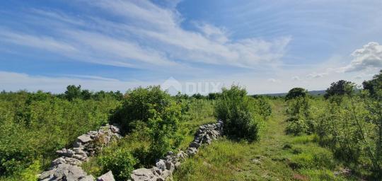 ISTRA, LABIN - Prostrano građevinsko zemljište stambene namjene na osami, 1 km od mora