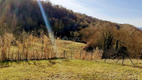 Land Juradi, Buzet, 1.604m2