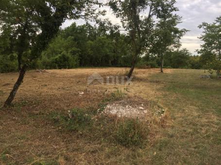 Land Barban, 2.730m2