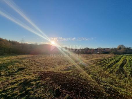 ISTRIA, TINJAN - Beautiful building land for the construction of several villas